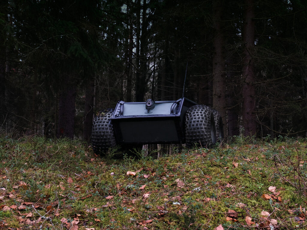 Laykka in forest